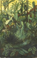 Lot 1218 - Sylvia Molloy (1914-2008)
'CACTUS GROVE'
Signed l.r.