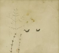 Lot 1352 - Mary Newcomb (1922-2008)
BIRDS AND PLANTS
Pencil
19 x 21cm 

*Artist's Resale Right may apply to this lot.