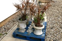 Lot 655 - A set of four weathered stone garden urns (4)