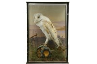 Lot 499 - An Edwardian stuffed and mounted owl