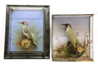 Lot 362 - Two Victorian stuffed and mounted woodpeckers