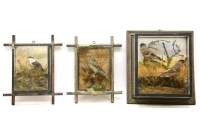 Lot 364 - Three stuffed and mounted birds