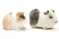 Lot 134 - A Royal Copenhagen guinea pig