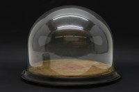 Lot 296 - A Victorian glass dome