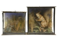 Lot 251 - A taxidermy red squirrel