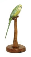Lot 303 - An Art Deco painted ivory budgerigar