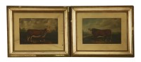 Lot 783 - English School
PRIZE BULLS
oil on board