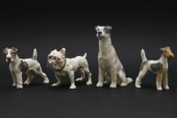 Lot 427 - Three fox terriers