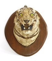 Lot 199 - A TIGER HEAD MOUNT