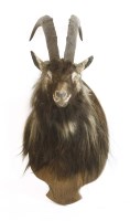 Lot 85 - A BLACK GOAT HEAD MOUNT