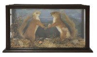 Lot 13 - SQUIRRELS DRINKING