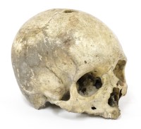 Lot 218 - A VICTORIAN HUMAN SKULL