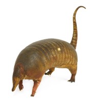 Lot 216 - AN ARMADILLO