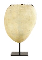 Lot 270 - A BAILER SHELL PECTORAL ORNAMENT
early 20th century