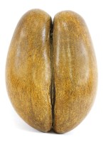 Lot 205 - COCO DE MER
20th century