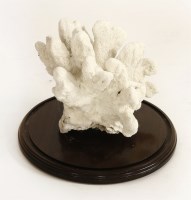 Lot 79 - A CORAL SPECIMEN
