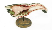 Lot 370 - A POLYCHROME PLASTER CRAYFISH MODEL