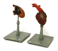 Lot 371 - A PLASTER MODEL OF A HUMAN HEART