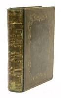 Lot 335 - CARNE