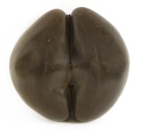 Lot 313 - A polished coco de mer (Lodoicea maldivica)
