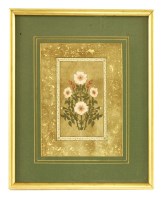 Lot 757 - A pair of Indian Mughal pictures of roses