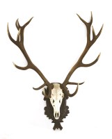Lot 851 - A pair of red deer antlers