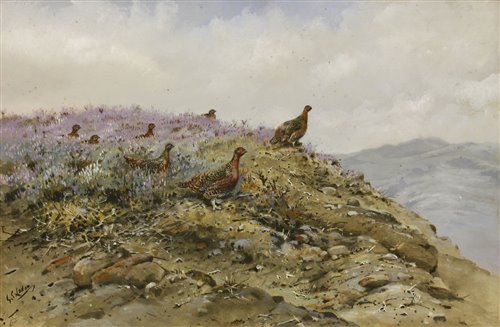 Lot 186 - George Edward Lodge (1860-1954)