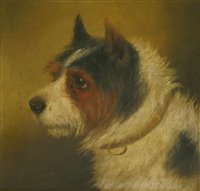 Lot 112 - Circle of George Armfield (1810-1893)