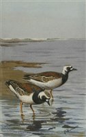 Lot 202 - John Cyril Harrison (1892-1985)