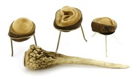 Lot 319 - Three novelty vegetable ivory specimens