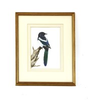 Lot 471 - David Ord Kerr (b.1951)
MAGPIE
Signed l.r.