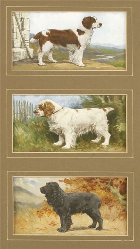 Lot 138 - English School