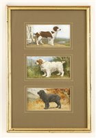 Lot 138 - English School