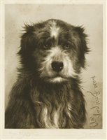 Lot 156 - Joseph B Pratt (1854-1910) after Rosa Bonheur (French, 1822-1899)