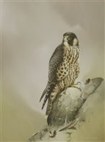 Lot 218 - Raymond C Watson (1934-1994)