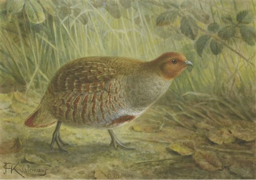 Lot 195 - Johannes Gerardus Keulemans (Dutch, 1842-1912)