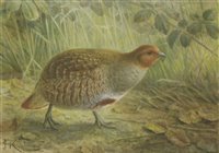 Lot 195 - Johannes Gerardus Keulemans (Dutch, 1842-1912)