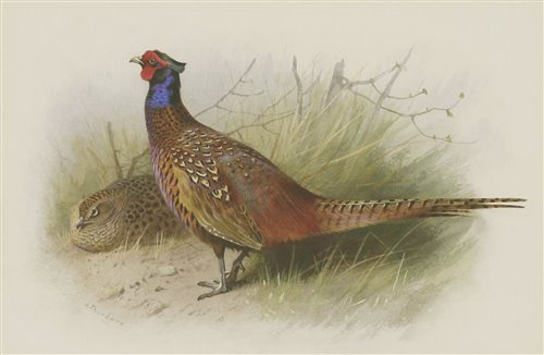 Lot 226 - Archibald Thorburn (1860-1935)