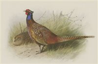 Lot 226 - Archibald Thorburn (1860-1935)