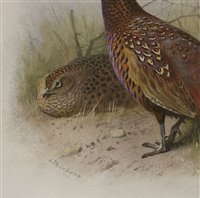 Lot 226 - Archibald Thorburn (1860-1935)