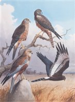 Lot 216 - John Cyril Harrison (1898-1985)
