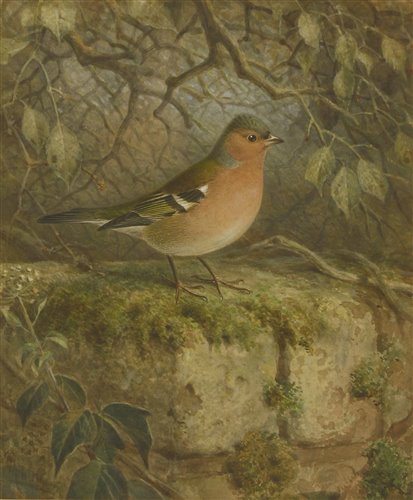 Lot 212 - Johannes Gerardus Keulemans (1842-1912)