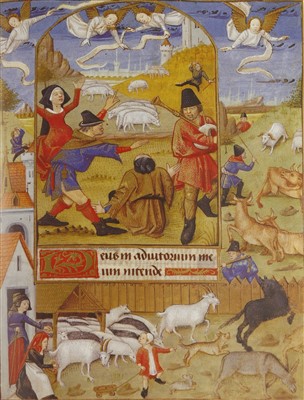 Lot 242 - Libro de los Medicamentes Simples (Book of Simple Medicines)