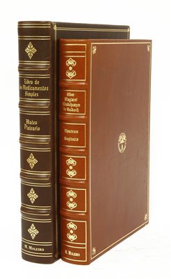 Lot 241 - Ububchasym de Baldach Adalberto: Theatrum Sanitatis