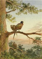 Lot 210 - John Cyril Harrison (1898-1985)
