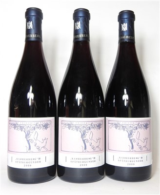Lot 191 - Weingut Friedrich Becker, Kammerberg Spätburgunder, 2009, three bottles