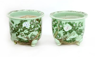 Lot 310 - A pair of Chinese celadon jardinières