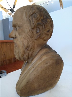 Lot 216 - An Italian carved marble bust of Socrates