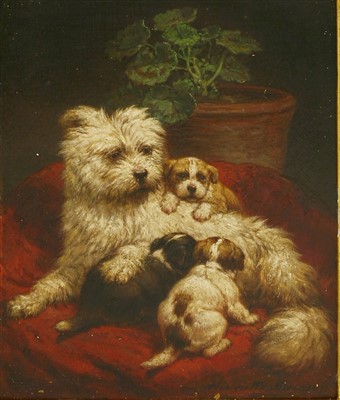 Lot 438 - Henriette Ronner-Knip (Dutch, 1821-1909)