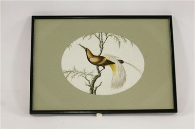 Lot 307 - A collection of five Chinese pith paper paintings